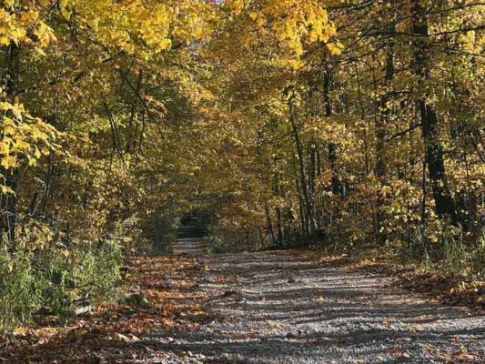 October 18, 2026 Fall Colours 6142