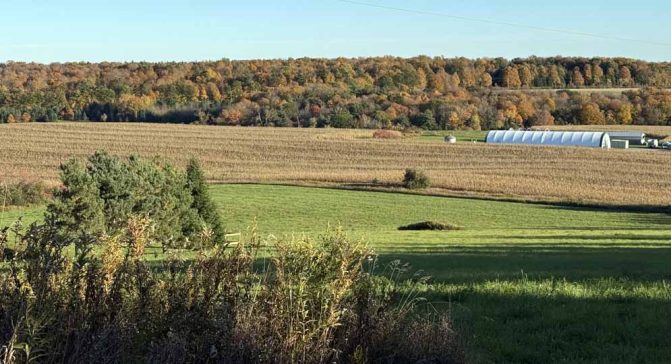 October 18, 2026 Fall Colours 6143