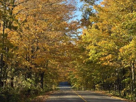 October 18, 2026 Fall Colours 6144