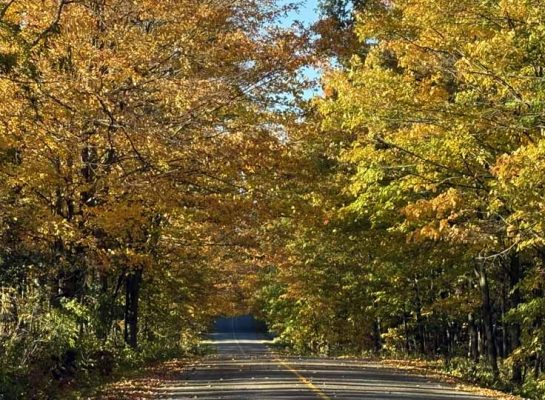 October 18, 2026 Fall Colours 6145