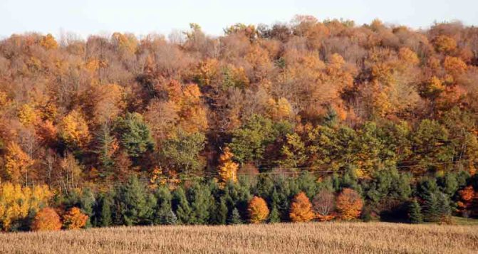 October 18, 2026 Fall Colours 6147