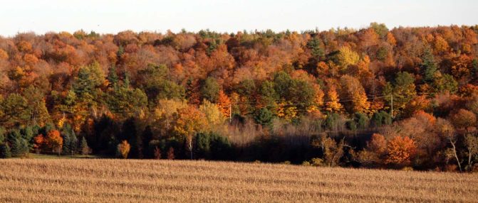 October 18, 2026 Fall Colours 6148