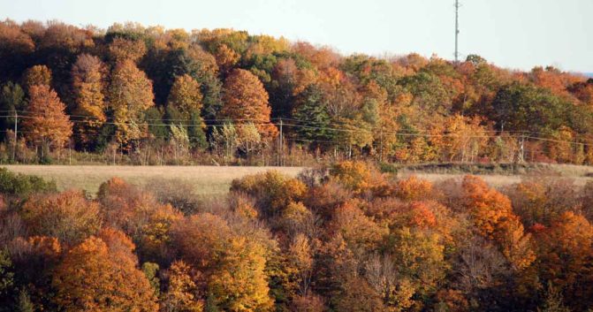October 18, 2026 Fall Colours 6149