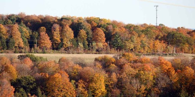 October 18, 2026 Fall Colours 6150