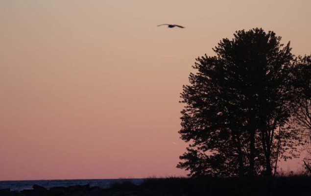 October 18, 2026 Sunset Cobourg Harbour 6153