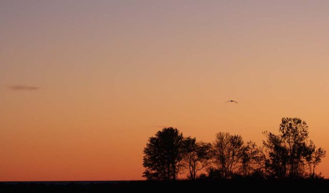 October 18, 2026 Sunset Cobourg Harbour 6154