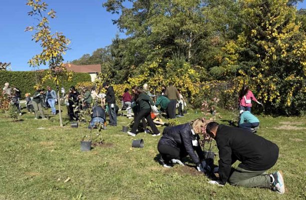 October 18, 2026 TD Tree Planting Rapley Park Port Hope 6122