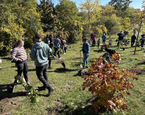 October 18, 2026 TD Tree Planting Rapley Park Port Hope 6123