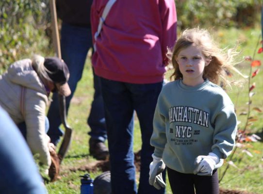 October 18, 2026 TD Tree Planting Rapley Park Port Hope 6130
