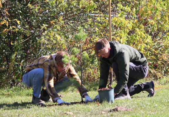 October 18, 2026 TD Tree Planting Rapley Park Port Hope 6131