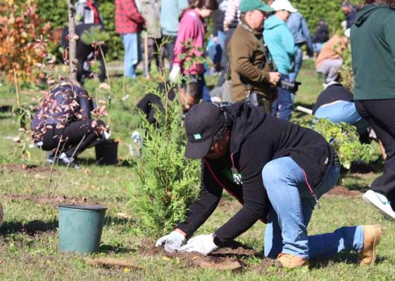 October 18, 2026 TD Tree Planting Rapley Park Port Hope 6132