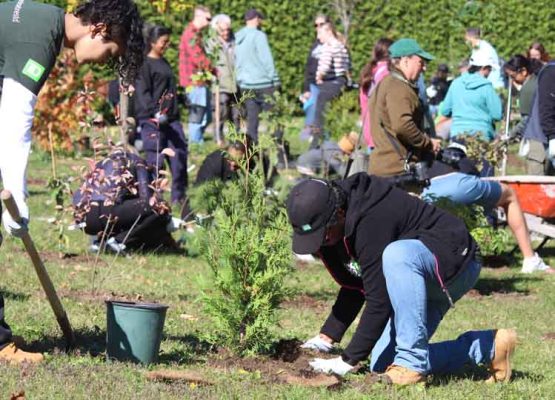 October 18, 2026 TD Tree Planting Rapley Park Port Hope 6133