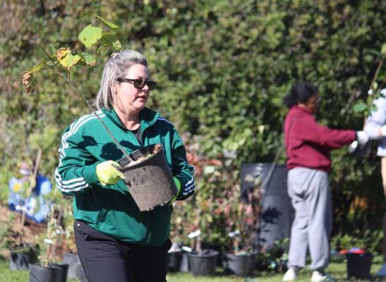 October 18, 2026 TD Tree Planting Rapley Park Port Hope 6134