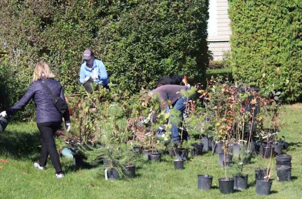 October 18, 2026 TD Tree Planting Rapley Park Port Hope 6135