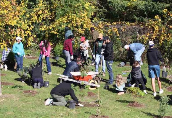 October 18, 2026 TD Tree Planting Rapley Park Port Hope 6136