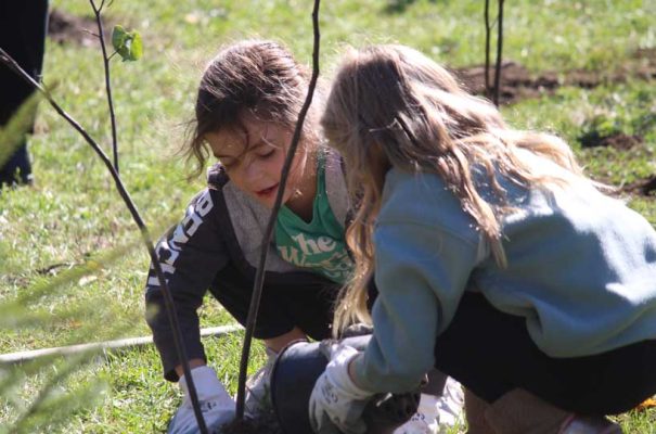 October 18, 2026 TD Tree Planting Rapley Park Port Hope 6140