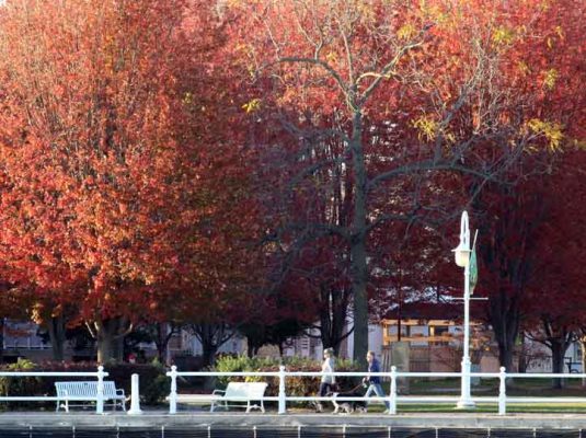 October 19, 2026 Fall Sunset Cobourg Harbour 6157